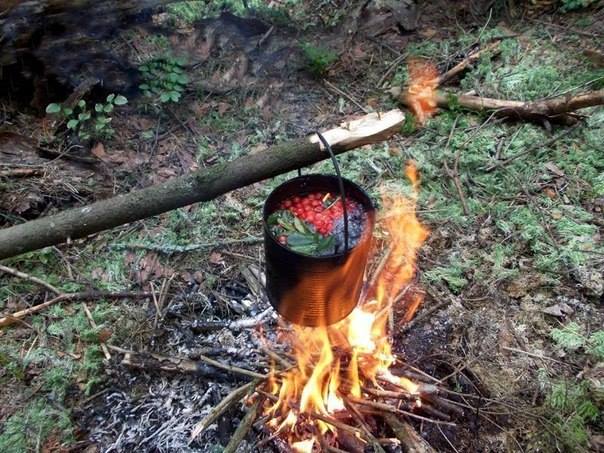 Обеззараживание воды рябиной